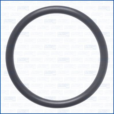 Dichtung, Thermostat AJUSA 16133100