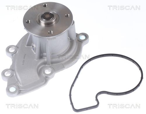 Wasserpumpe TRISCAN 8600 43025