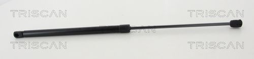 Gasfeder, Koffer-/Laderaum TRISCAN 8710292050