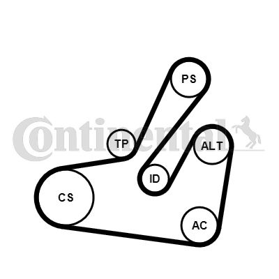 Keilrippenriemensatz CONTINENTAL CTAM 6pk1795k2