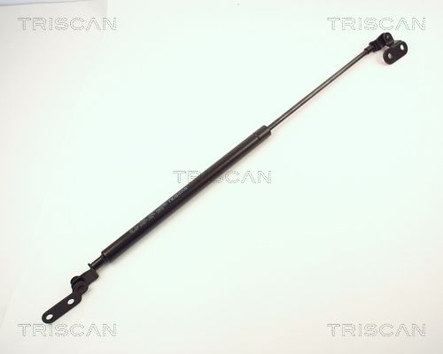 Heckklappendämpfer TRISCAN 8710 14202