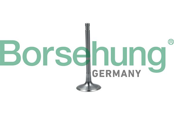 Einlassventil BORSEHUNG B19024