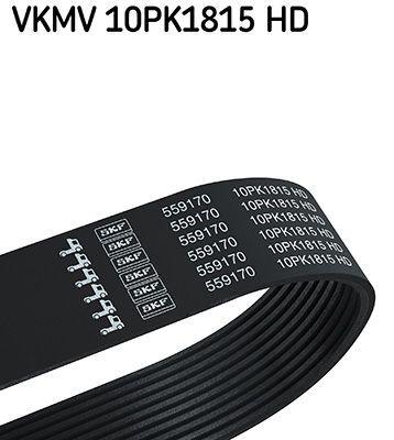 Keilrippenriemen SKF VKMV10PK1815HD