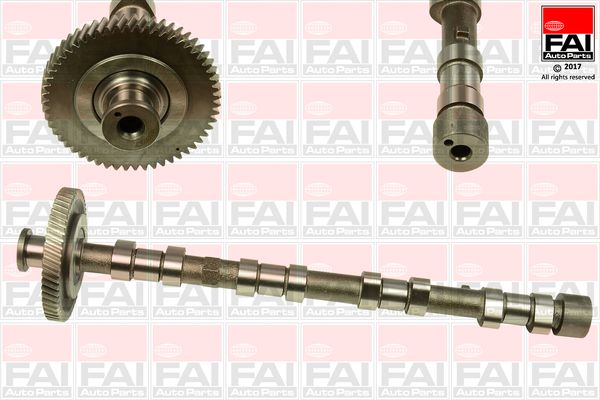 Nockenwelle FAI AutoParts C309