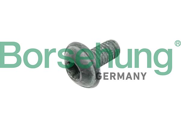 Schraube, Bremsscheibe BORSEHUNG B10635