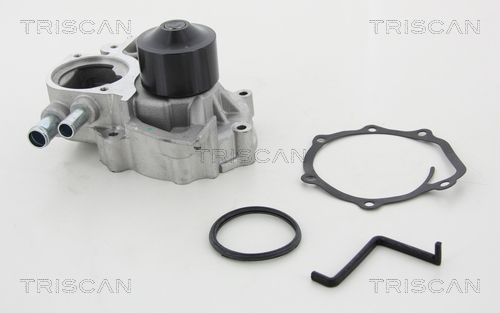 Wasserpumpe TRISCAN 8600 68022