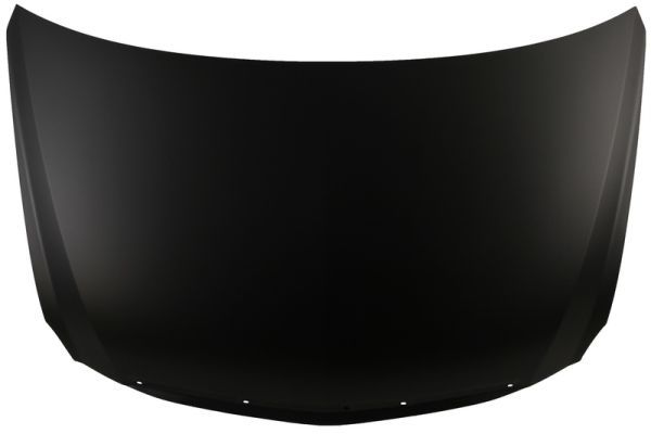 Motorhaube BLIC 6803-00-2902280P