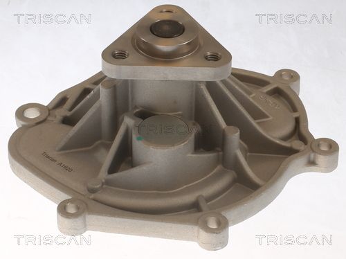 Wasserpumpe TRISCAN 8600 20006