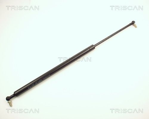 Heckklappendämpfer TRISCAN 8710 13205