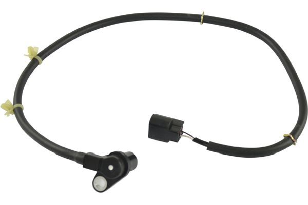 Sensor, Raddrehzahl KAVO PARTS BAS-5543