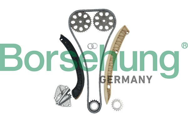 Steuerkettensatz BORSEHUNG B16295