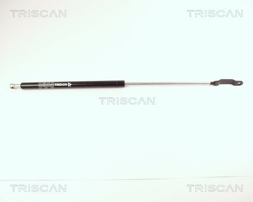 Heckklappendämpfer TRISCAN 8710 29208