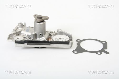 Wasserpumpe TRISCAN 8600 18008