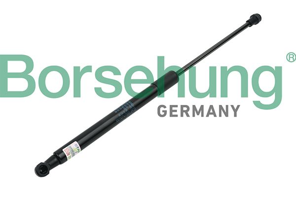 Gasfeder, Koffer-/Laderaum BORSEHUNG B14198