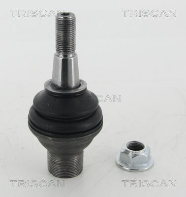 Trag-/Führungsgelenk TRISCAN 8500115005