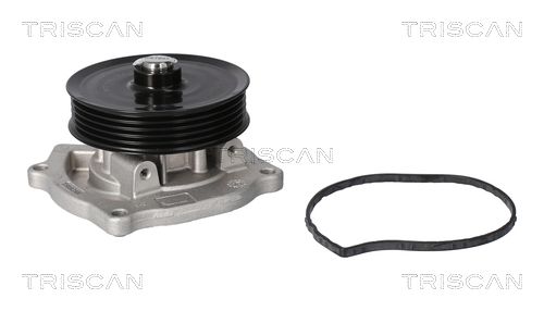 Wasserpumpe TRISCAN 8600 23103