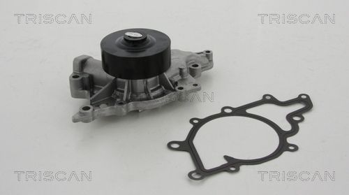 Wasserpumpe TRISCAN 8600 80018