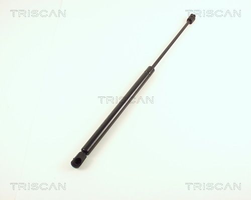 Heckklappendämpfer TRISCAN 8710 29203