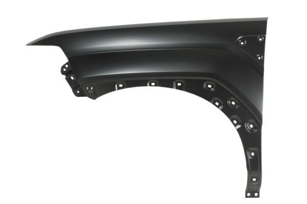 Kotflügel BLIC 6504-04-3186311P