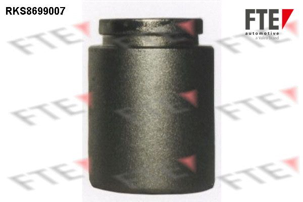 Kolben, Bremssattel FTE 9313477
