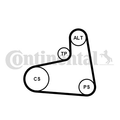 Keilrippenriemensatz CONTINENTAL CTAM 6PK906K1