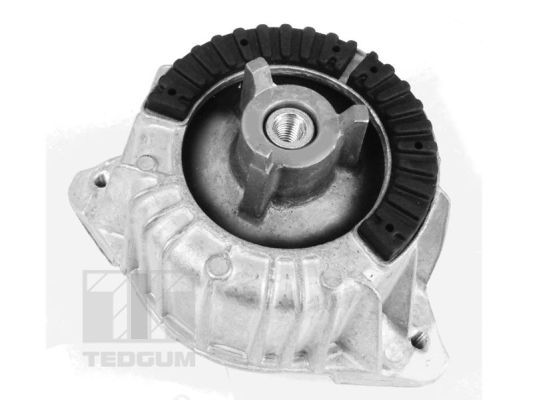 Lagerung, Motor TEDGUM 00418473