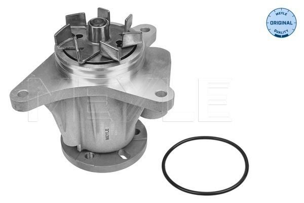 Wasserpumpe, Motorkühlung MEYLE 53-132200007