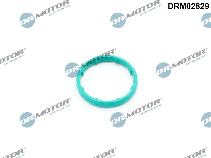 Dichtung Ölkühler Dr.Motor Automotive DRM02829