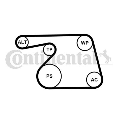 Keilrippenriemensatz CONTINENTAL CTAM 6PK1318K2