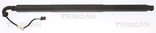Gasfeder, Koffer-/Laderaum TRISCAN 871029308