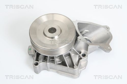 Wasserpumpe TRISCAN 8600 17010
