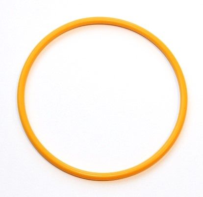 Dichtring ELRING 919.241