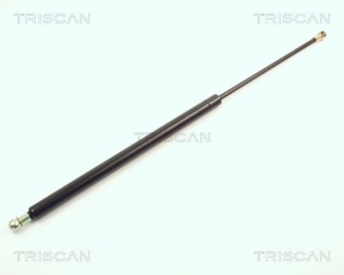 Heckklappendämpfer TRISCAN 8710 2711