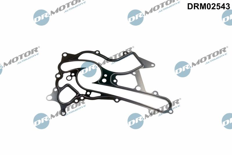 Dichtung Wasserpumpe Dr.Motor Automotive DRM02543
