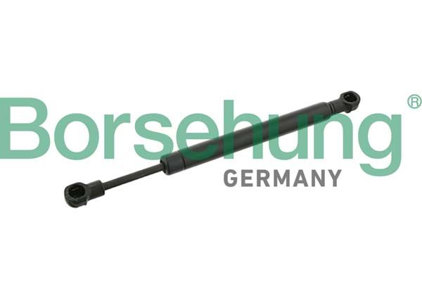 Gasfeder, Koffer-/Laderaum BORSEHUNG B12066