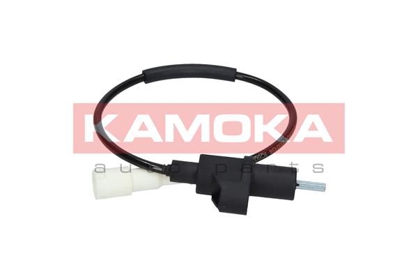 Sensor, Raddrehzahl KAMOKA 1060134