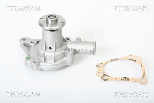 Wasserpumpe TRISCAN 8600 17005