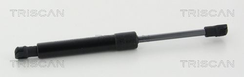 Heckklappendämpfer TRISCAN 8710 292040