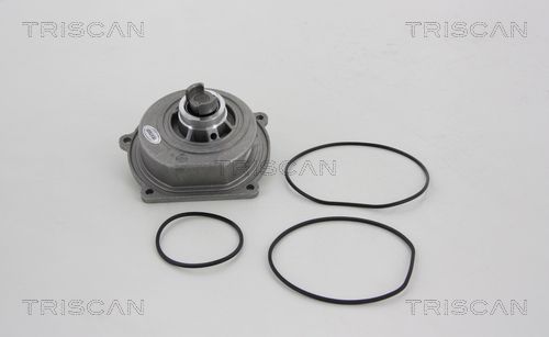 Wasserpumpe TRISCAN 8600 17011