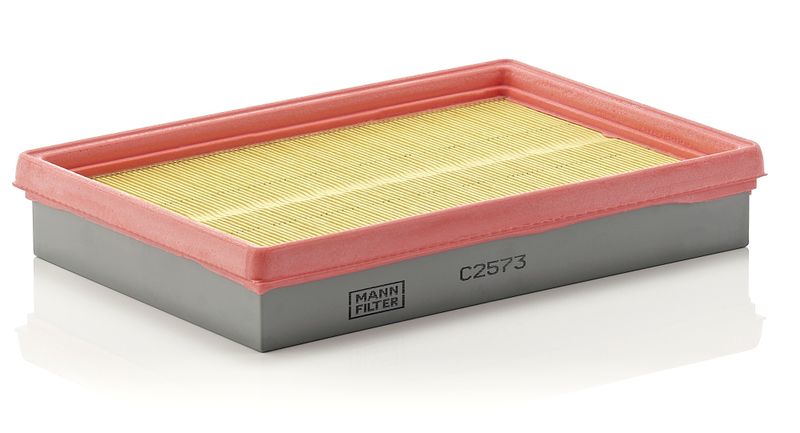 Luftfilter MANN-FILTER c 2573