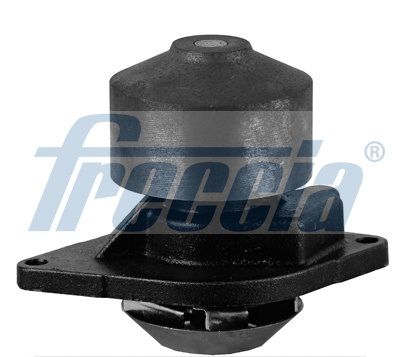 Wasserpumpe, Motorkühlung FRECCIA WP0593