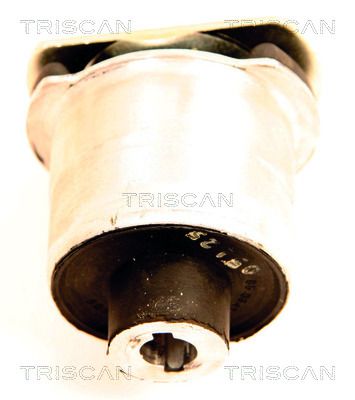 Lagerung, Achskörper TRISCAN 850065834