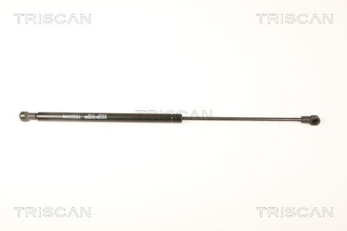 Gasfeder Heckscheibe TRISCAN 8710 25252