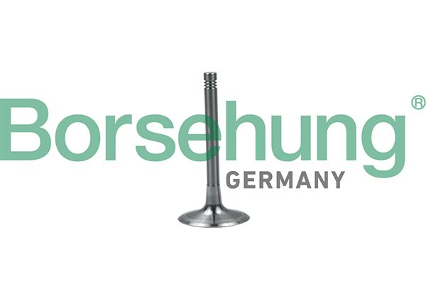 Einlassventil BORSEHUNG B19028