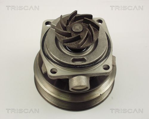 Wasserpumpe TRISCAN 8600 10006