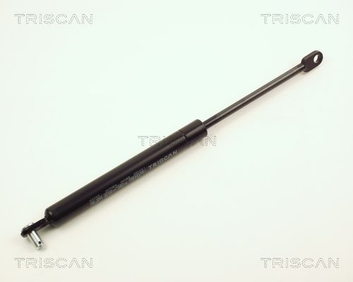 Heckklappendämpfer TRISCAN 8710 2809