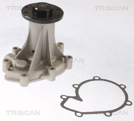 Wasserpumpe TRISCAN 8600 23091