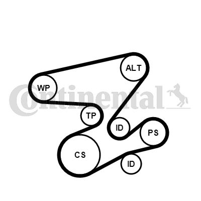 Keilrippenriemensatz CONTINENTAL CTAM 6PK2080K1