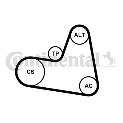 Keilrippenriemensatz CONTINENTAL CTAM 6PK962K1