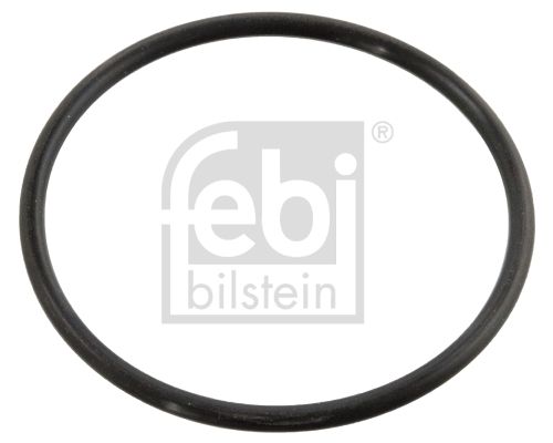Dichtung, Thermostat FEBI BILSTEIN 10258